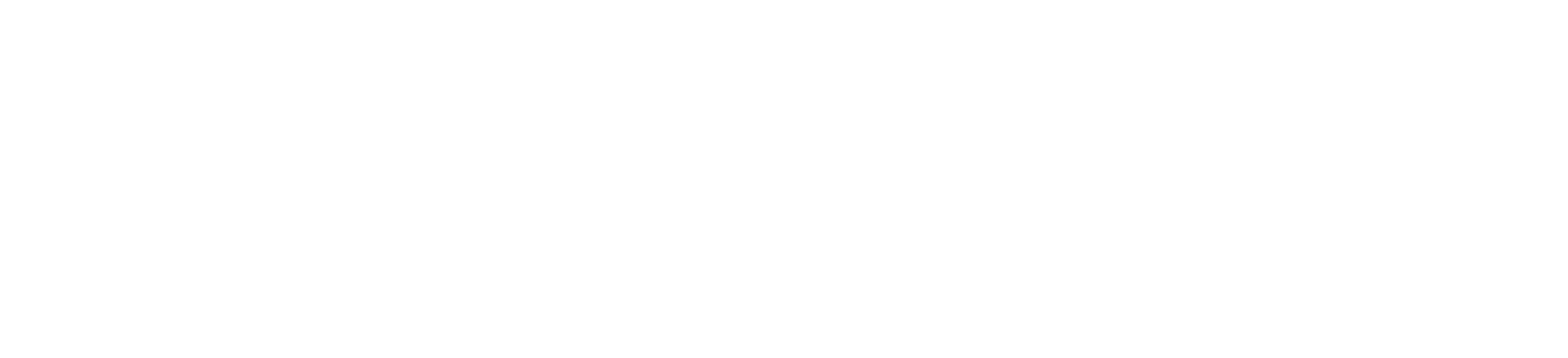 noesis_identifier_white 2-1